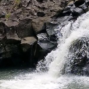 Meet your Posher, Jules